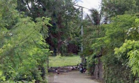 ขายที่ดิน - ขายที่ดินตำบลหนองผึ้งสารภีทำเลดีห่างโรงเรียนวารีเพียง 1.9กม