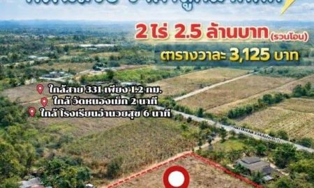 ขายที่ดิน - ที่ดิน2ไร่ บ้านเม็ก พนัสนิคม ใกล้แหล่งชุมชนและถนน 331