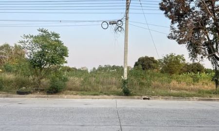 ขายที่ดิน - ขายที่ดินทุ่งสุขลา 12 ไร่ ติดคลองติดถนนคอนกรีตหลังตลาดเคหะแหลมฉบัง ใกล้ท่าเรือแหลมฉบัง-4กม. อ.ศรีราชา จ.ชลบุรี