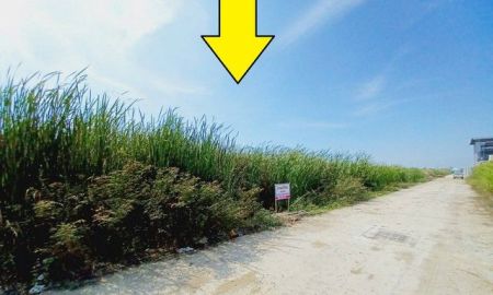 ขายที่ดิน - ขายที่ดินลำลูกกาคลอง4 ถนน ไสวประชาราษฏร์ 1 ไร่ ติดถนน 2 ด้าน เหมาะทำโกดัง ปลูกบ้าน ทำเลดี ใกล้แหล่งชุมชน