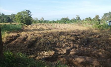 ขายที่ดิน - ขายที่ดิน 1ไร่ ต.ป่าป้อง อ.ดอยสะเก็ด จ.เชียงใหม่