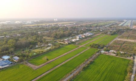 ขายที่ดิน - ที่ดินคลอง11 ธัญบุรีทำเลดี เทศบาลบึงน้ำรักษ์ อ.ธัญบุรี ปทุมธานี