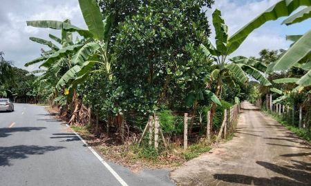 ขายที่ดิน - แบ่งขายที่ดินโฉนดเนื้อที่ประมาณ 1 ไร่ เป็นสวนขนุน