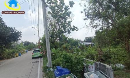 ขายที่ดิน - ขายที่ดิน 368 ตารางวา ซอยบางรักน้อย 18 ซอยอนามัยบางประดู่ เมืองนนทบุรี