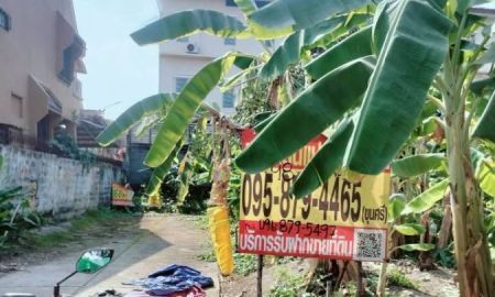 ขายที่ดิน - ขายด่วน !! ที่ดิน 98 ตารางวา ติดถนนคอนกรีต ไทรน้อย15/2 นนทบุรี