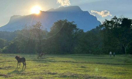 ขายที่ดิน - ขายที่ดินติดลำธารน้ำวิวดอยหลวงโฉนดพร้อมโอนน่าลงทุน