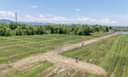 ขายที่ดิน - ขายที่ดิน ราคา3,980บาท/ตร.ว. ต.ป่าป้อง อ.ดอยสะเก็ด จ.เชียงใหม่