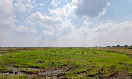 ขายที่ดิน - ขายด่วน! ที่ดินบางน้ำเปรี้ยว 15 ไร่ 1 งาน 34 ตารางวา ติดถนนลาดยางสาธารณะ ทำเลทอง ราคาถูกที่สุดในย่านนี้