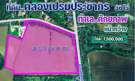 ขายที่ดิน - ขายที่ดิน 36 ไร่ ถ.เลียบคลองเปรมประชากร จ.ปทุมธานี