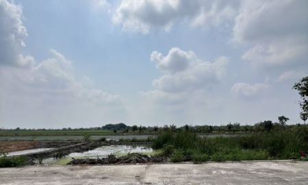 ขายที่ดิน - ที่ดินแปลงเล็กทำเลดี คลอง 11 อ.หนองเสือ จ.ปทุมธานี