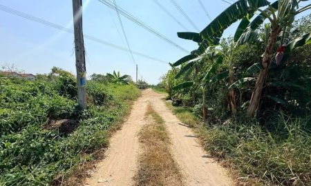 ขายที่ดิน - ขายที่ดิน 55 ตารางวาซอยดำรงชาติ หนองจอกกรุงเทพฯ