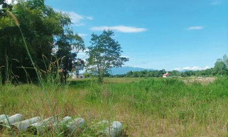 ขายที่ดิน - ขายที่ดิน ราคา3,980/ตร.ว. ต.สำราญราษฎร์ อ.ดอยสะเก็ด จ.เชียงใหม่