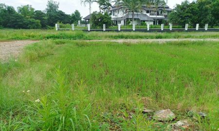 ขายที่ดิน - ขายที่ดิน ราคา8,500บาท/ตร.ว. ต.สำราญราษฏร์ อ.ดอยสะเก็ด จ.เชียงใหม่