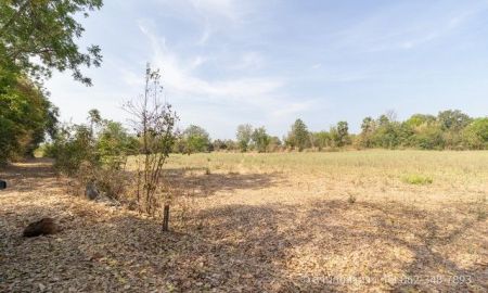 ขายที่ดิน - ขายที่ดินขามทะเลสอ 7 ไร่ 111 ตร.ว. ต.โป่งแดง โคราช หน้ากว้าง 110 ม. ระดับเท่าถนน ฟรีโอน