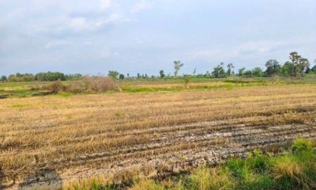 ขายที่ดิน - ขายที่ดินเปล่า ทำเลดี ติดธารน้ำธรรมชาติ จังหวัดนครนายก