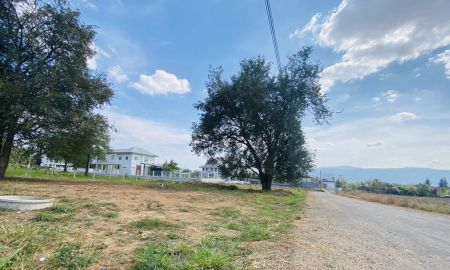 ให้เช่าที่ดิน - ให้เช่าที่ดินเขาใหญ่ปากช่อง บ้านสระน้ำใส มองเห็นวิวภูเขา