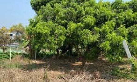 ขายที่ดิน - ขายที่ดินตำบลน้ำแพร่หางดงห่างบิ๊กซีหางดงเพียง 2.3กม