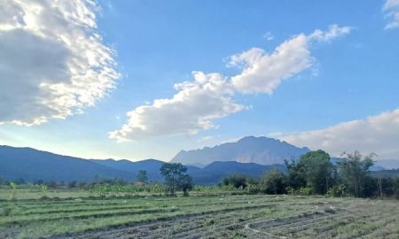 ขายที่ดิน - ขายที่ดินตำบลแม่นะติดสวนบัวชมพูติดลำเหมืองสองด้าน