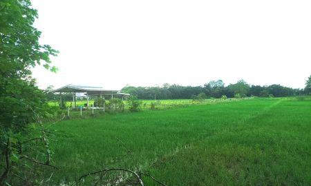 ขายที่ดิน - ขายที่ดิน 1ไร่3งาน ต.ตลาดใหญ่ อ.ดอยสะเก็ด จ.เชียงใหม่