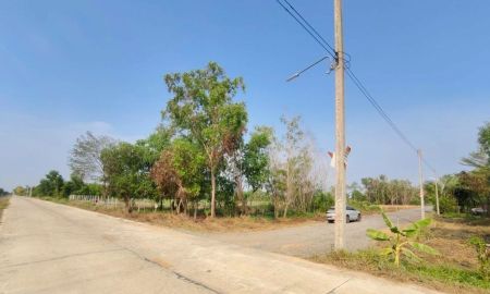 ขายที่ดิน - คลอง 6 ซอย 53 ปทุม ถมแล้วววววว สูงกว่าถนน