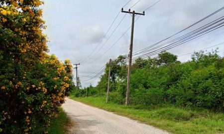 ขายที่ดิน - ขายที่ดิน ขายฟาร์ม 303ไร่ ขายพร้อมสิ่งปลูกสร้าง พร้อมใบอนุญาต แก่งคอย สระบุรี