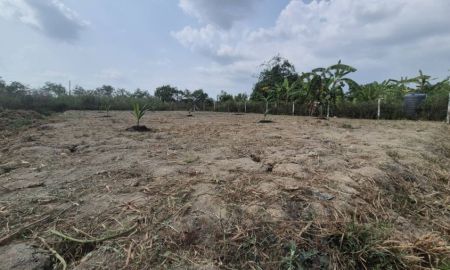 ขายที่ดิน - ขายที่ดินเปล่า ในหมู่บ้านเพชรวัฒนะ ซอยยืนยง ปากเกร็ด นนทบุรี