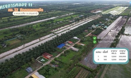 ขายที่ดิน - ขายที่ดินคลอง 11 ขนาดแปลงละ 100 ตารางวา อ.หนองเสือ จ.ปทุมธานี