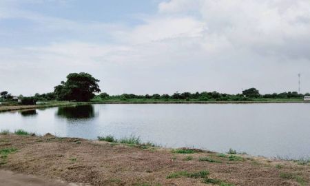 ขายที่ดิน - ขายที่ดิน บางปลา (คลอง2) สมุทรปราการ ยังไม่ถม