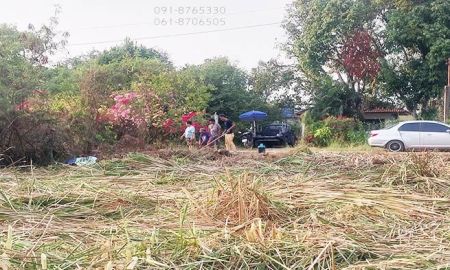 ขายที่ดิน - ขายที่ดิน 100ตรว คลอง12 ปทุมธานี ใกล้ถนนรังสิต-นครนายก เหมาะปลูกบ้านทำสวน โกดัง ขายราคาถูก