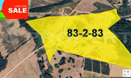 ขายที่ดิน - ขายที่ดิน 83ไร่ เขาขยาย บ่อวิน ราคาเบาๆ ลงทุนต่อได้ เห็นกำไร ดิวจบ100%