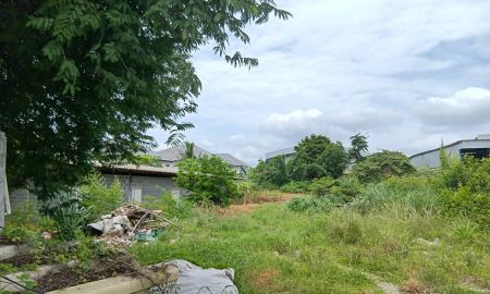 ขายที่ดิน - ขายที่ดินหนองยายบู่ 1ไร่เศษ ใกล้ถนนเส้นสวนเสือศรีราชา ราคาไม่แรง สนใจโทรสอบถามด่วน