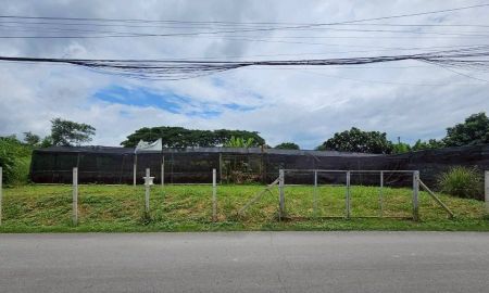 ขายที่ดิน - ขายที่ดินติดถนนตำบลดอนแก้วแม่ริมติดถนนคอนกรีตพร้อมโอน