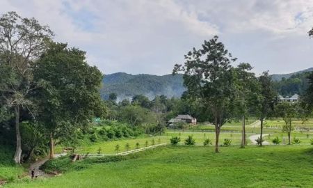 ขายที่ดิน - ขายที่ดินตำบลบ้านปงหางดงติดลำน้ำท่าช้างขายยกแปลงพร้อมโอน