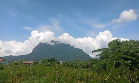 ขายที่ดิน - บ้านวิวดอยหลวงเชียงดาวพร้อมสวนผสมและลำไยทำเลดีเงียบสงบแต่ใกล้สถานที่สำคัญต่างๆ