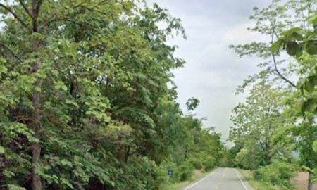 ขายที่ดิน - ที่ดินแปลงใหญ่ ติดถนนสายหลัก ไร่ละ 120,000 บาทเท่านั้น อุตรดิตถ์