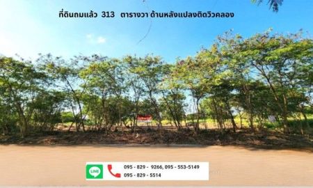 ขายที่ดิน - ขายที่ดินถมแล้ว 313 ตรว.ใกล้ทางเข้า-ออกถนนบางนา-ตราด 26โครงการรอยัล เพลส ด้านหลังติดวิวน้ำ ต้นไม้ล้อมรอบ บรรยากาศดี สมุทรปราการ