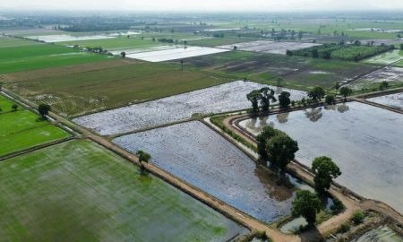 ขายที่ดิน - ขายที่นา 27-1-44 ไร่ แปลงสวย น้ำไม่ท่วม ติดทางสาธารณะ ตำบลบ้านกลับ อำเภอหนองโดน จังหวัดสระบุรี