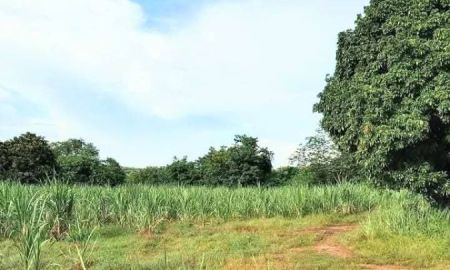 ขายที่ดิน - ที่ดินติดแหลงน้ำ ใกล้ชุมชน และที่ว่าการอำเภอ อ.ท่าปลา อุตรดิตถ์