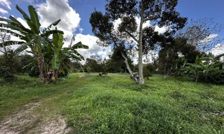 ขายที่ดิน - ขายที่ดินสูงกว่าถนนไม่ต้องถม 1-0-67 ไร่ บ้านแลง ระยอง ติดสถานปฏิบัติธรรมหลวงปู่ขี้เถ้า