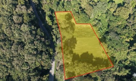 ขายที่ดิน - ที่ดินแม่ริม ใกล้ธรรมชาติ แปลงใหญ่ เหมาะทำ Private Estate / Wellness Premium