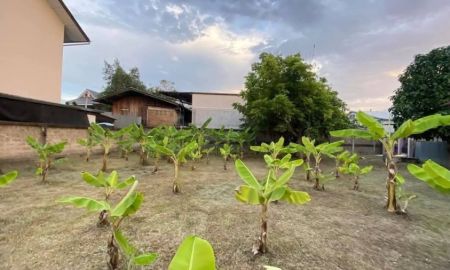 ขายที่ดิน - ขายที่ดินตำบลหายยาอยู่ห่างตลาดประตูเชียงใหม่เพียง 350 เมตร