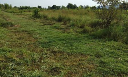 ขายบ้าน - ขายถูกมาก!! บ้านสวนพร้อมที่ดิน 11 ไร่ พร้อมบ่อน้ำ 3 บ่อ อ.จอมบึง จ.ราชบุรี ใกล้อ่างเก็บน้ำห้วยไม้เต็ง ม.ราชภัฏจอมบึง