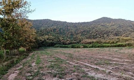 ขายที่ดิน - ขายที่ดินตำบลหนองควายหางดงใกล้พืชสวนโลกพร้อมโอน