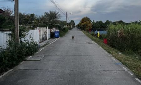 ขายที่ดิน - ขายที่ดินราคาถูก คลองสาม คลองหลวง ปทุมธานี 100 ตารางวาเพียง 8.5 แสนบาท