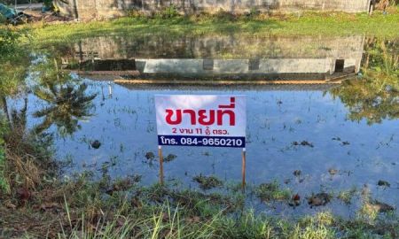 ขายที่ดิน - ขายที่ดินเปล่า ทำเลดี ใกล้ตลาด อ.เมือง พัทลุง