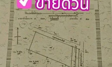 ขายที่ดิน - ที่ดินเปล่า ต.กร่ำ อ.แกลง จ.ระยอง ใกล้ อนุสรณ์สุนทรภู่ ซ.อุศเรน-ท่าราบ , ซ. สหกรณ์ ,หาดแหลมแม่พิมพ์