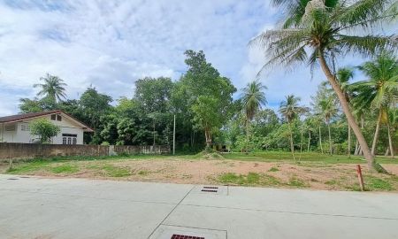 ขายที่ดิน - ขายที่ดินบางละมุง 200 ตร.วา ตะเคียนเตี้ย ใกล้นิคมโรจนะแหลมฉบัง ชลบุรี