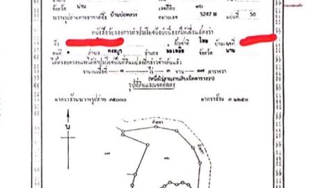 ขายที่ดิน - ขายที่ดินบ้านสะปัน อำเภอบ่อเกลือ จังหวัดน่าน