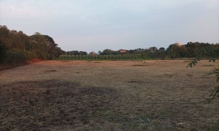 ขายที่ดิน - ขายด่วน! ที่ดินปากช่อง หนองสาหร่าย 16 ไร่เศษ โฉนดครุฑแดง ใกล้ถนน 2235 เพียง 150 เมตร (ไร่ละ 1.2 ล้าน โอนฟรี!)