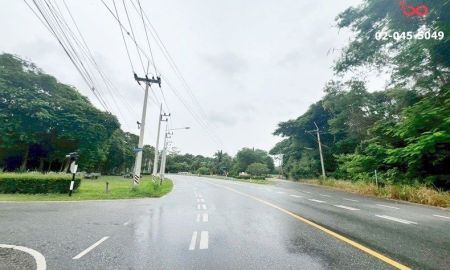 ขายที่ดิน - ขายที่ดิน 50 ตร.ว.ถนนพรประภานิมิตร พัทยา-บางละมุง ชลบุรี ถมแล้ว ราคาถูก